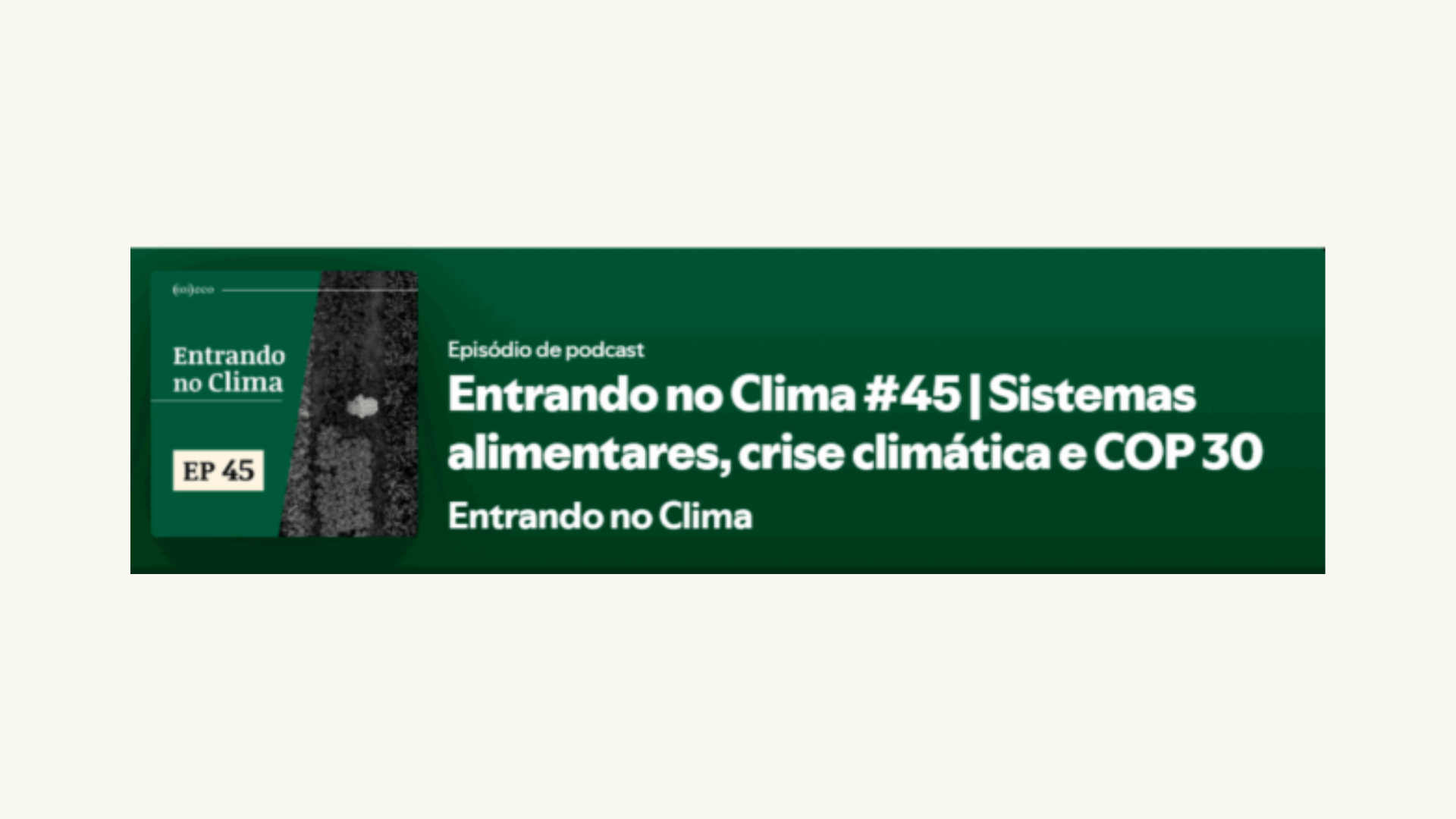 Capa biblioteca novo site CdA (44)