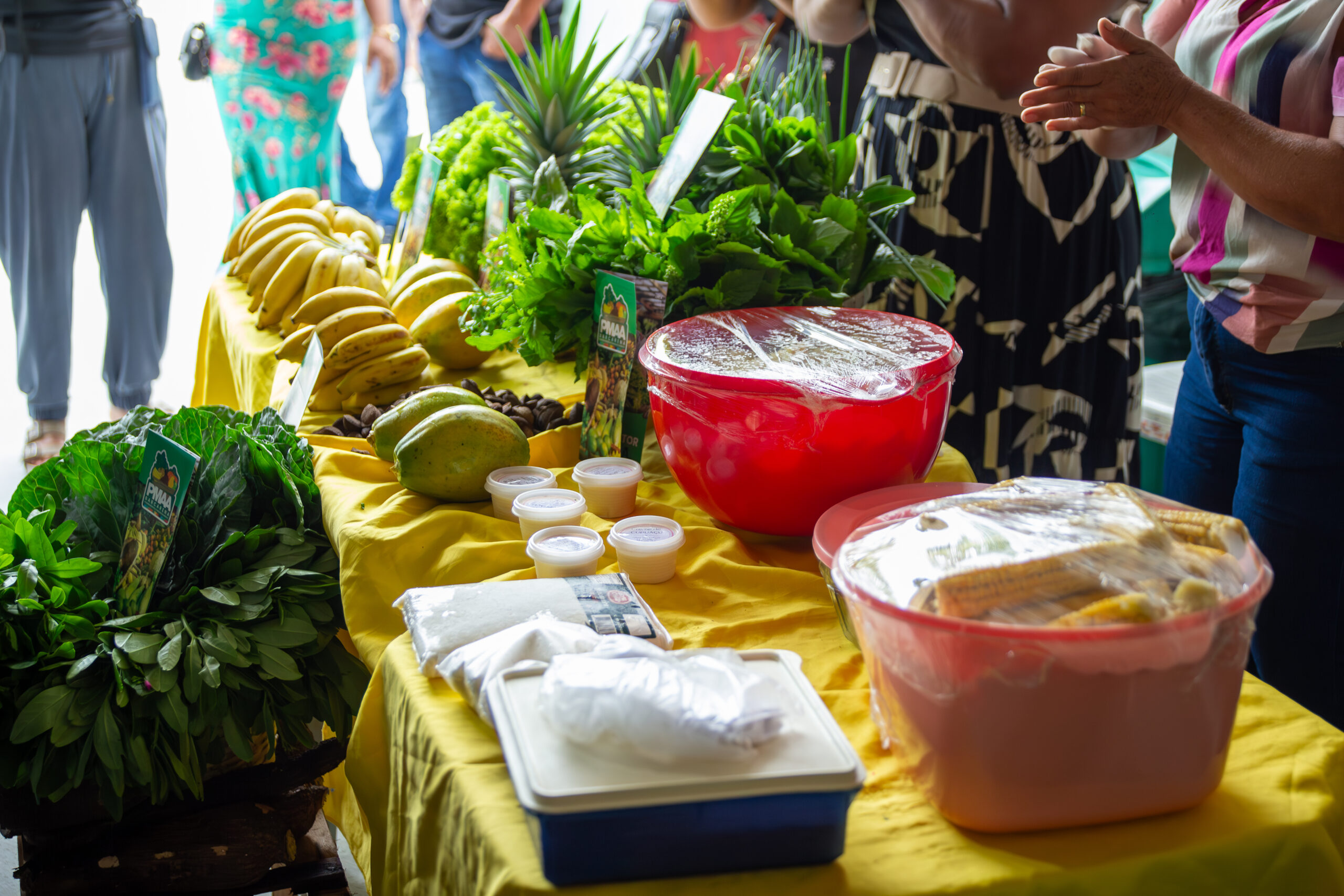 Alimentos em cima da mesa