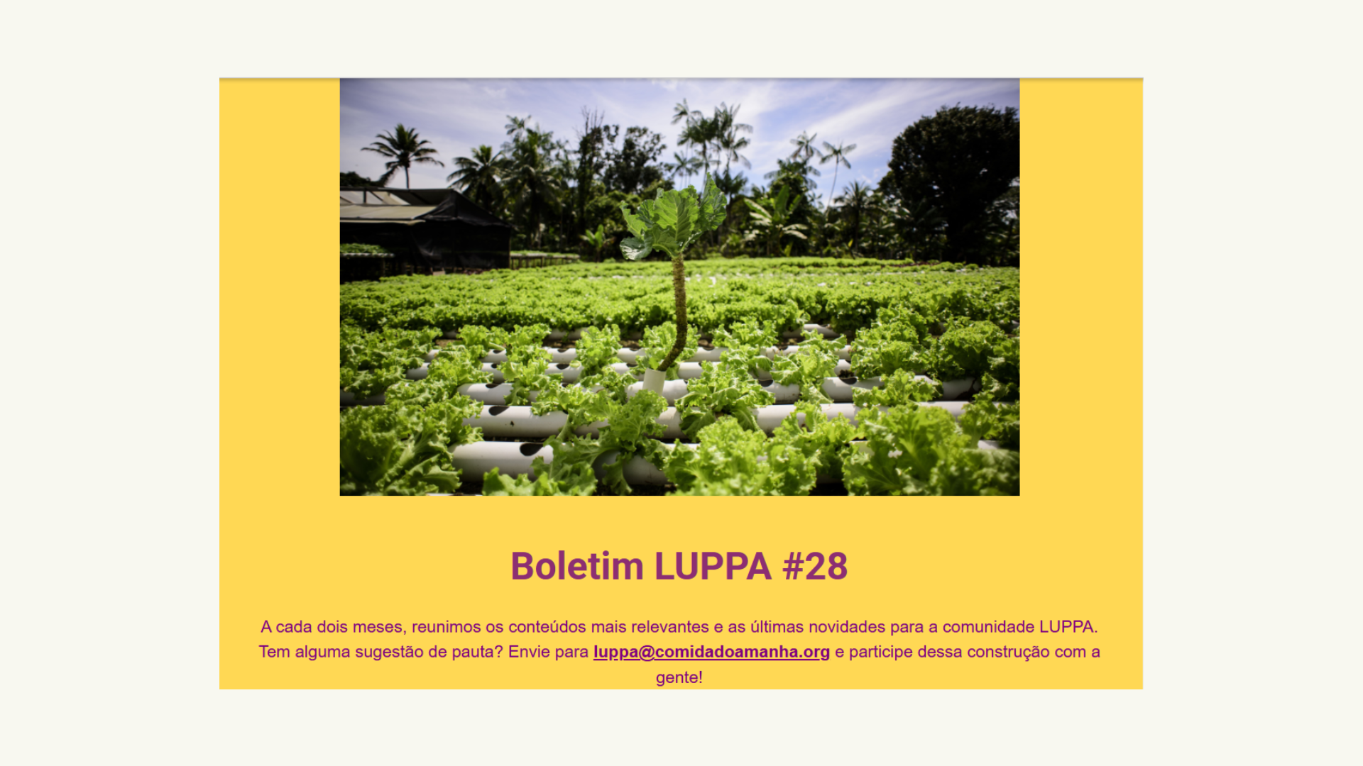 Capa biblioteca novo site CdA (57)